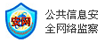 公共信息安全网络监察
